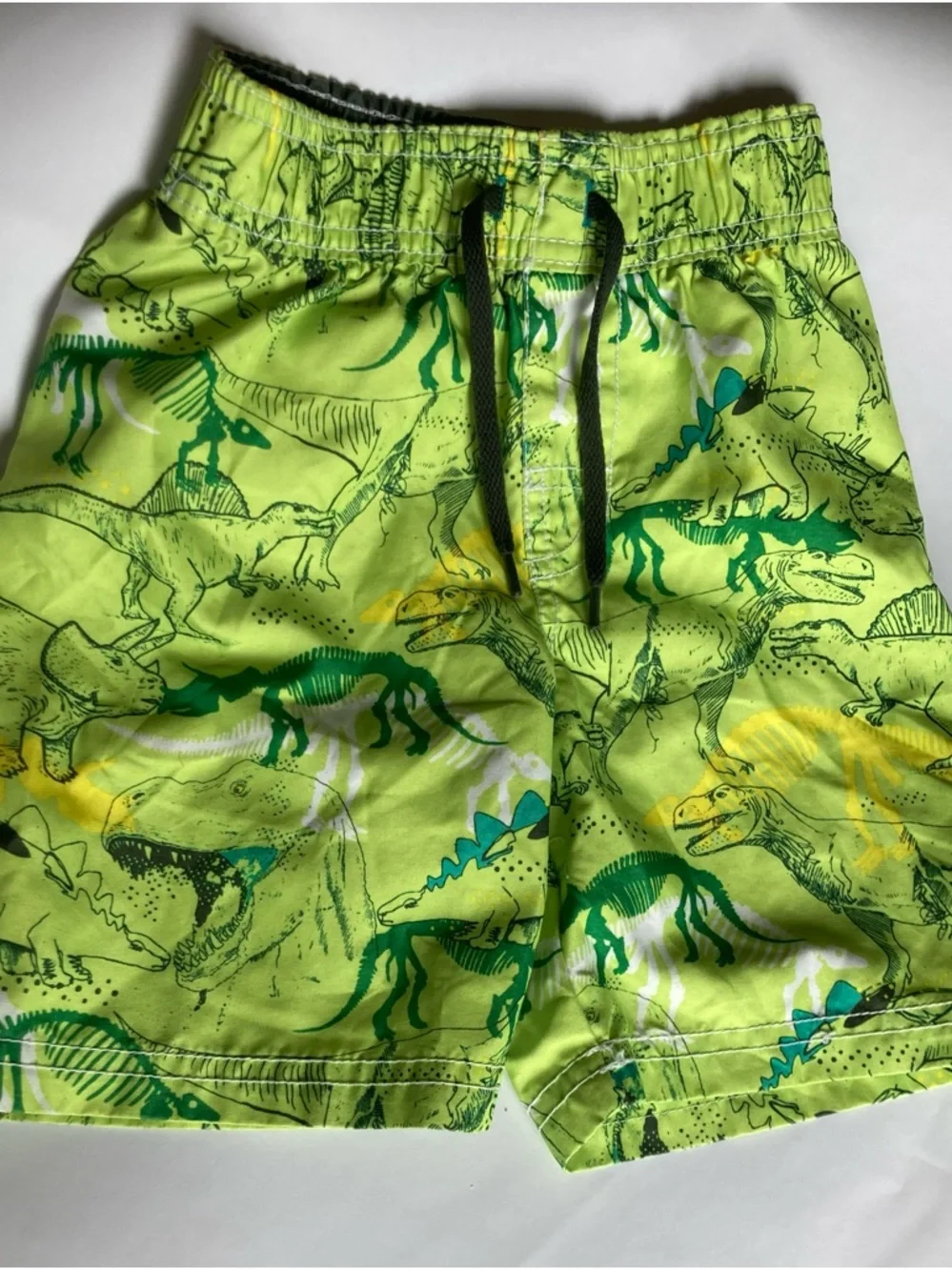 Old Navy 2T Boy Dinosaur Swim Trunks Beachtime Pooltime Excellent Condition